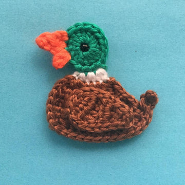 Mallard Duck