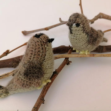 Realistic Sparrow