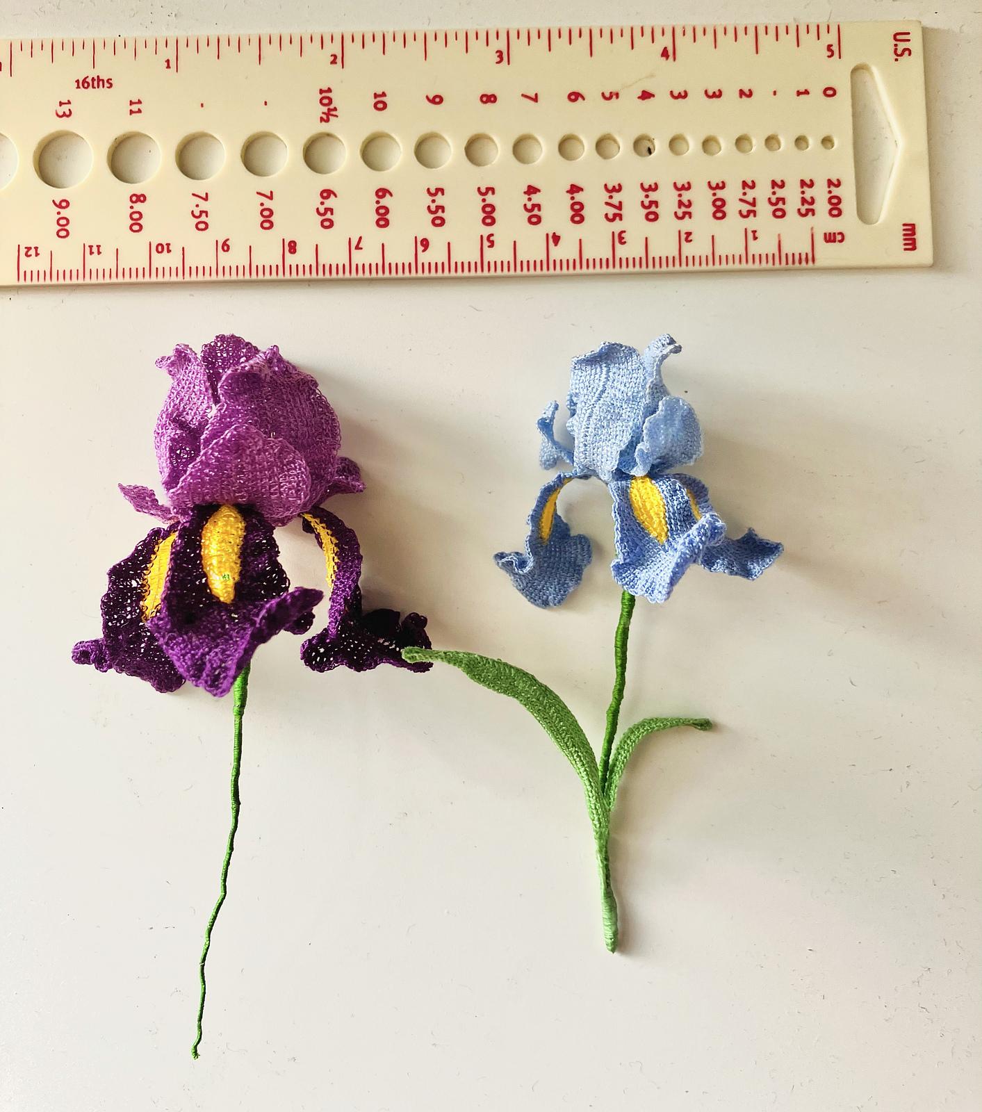 Iris flower