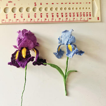 Iris flower