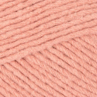 Rose Hip (61003)