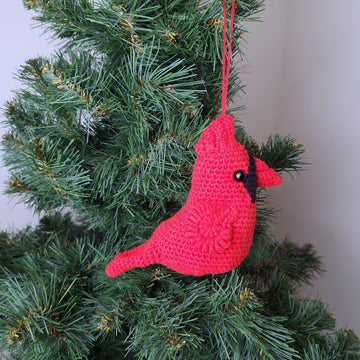 Red Cardinal bird