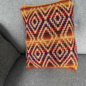 Global Pathways Cushion
