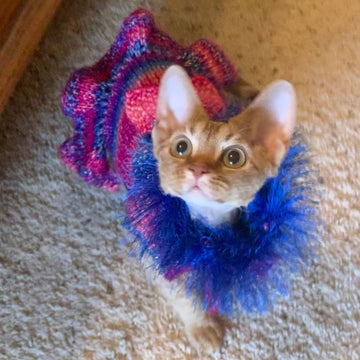 Sofie's Tiny Dog Knit "Party Dress"