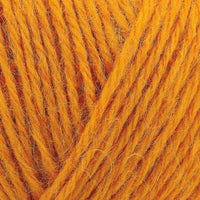 Seed (00901)