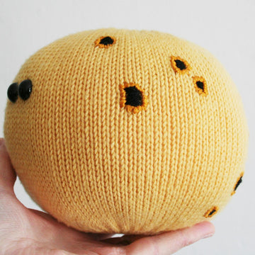 Sunspot Paperweight