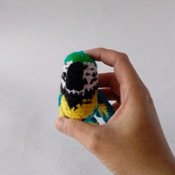 Birds Macaw