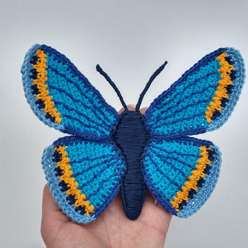 Karner Blue Butterfly
