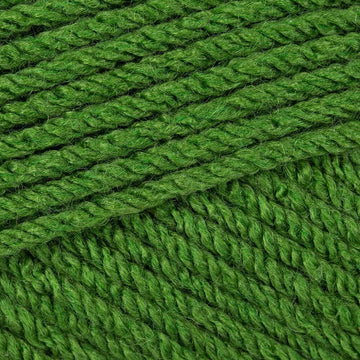 Aloe (70643)