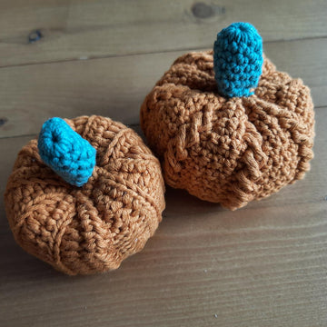 Pumpkin festival