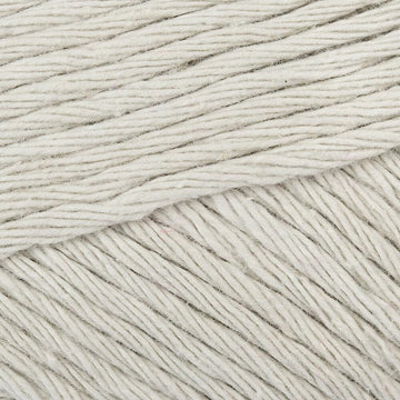 Light Silver (172)