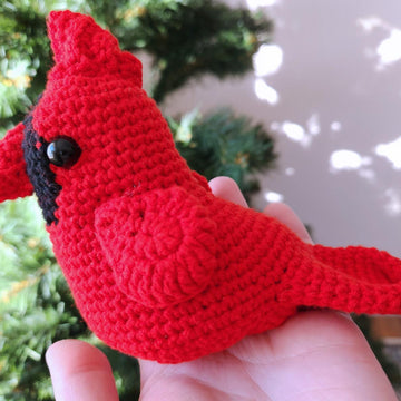 Red Cardinal bird