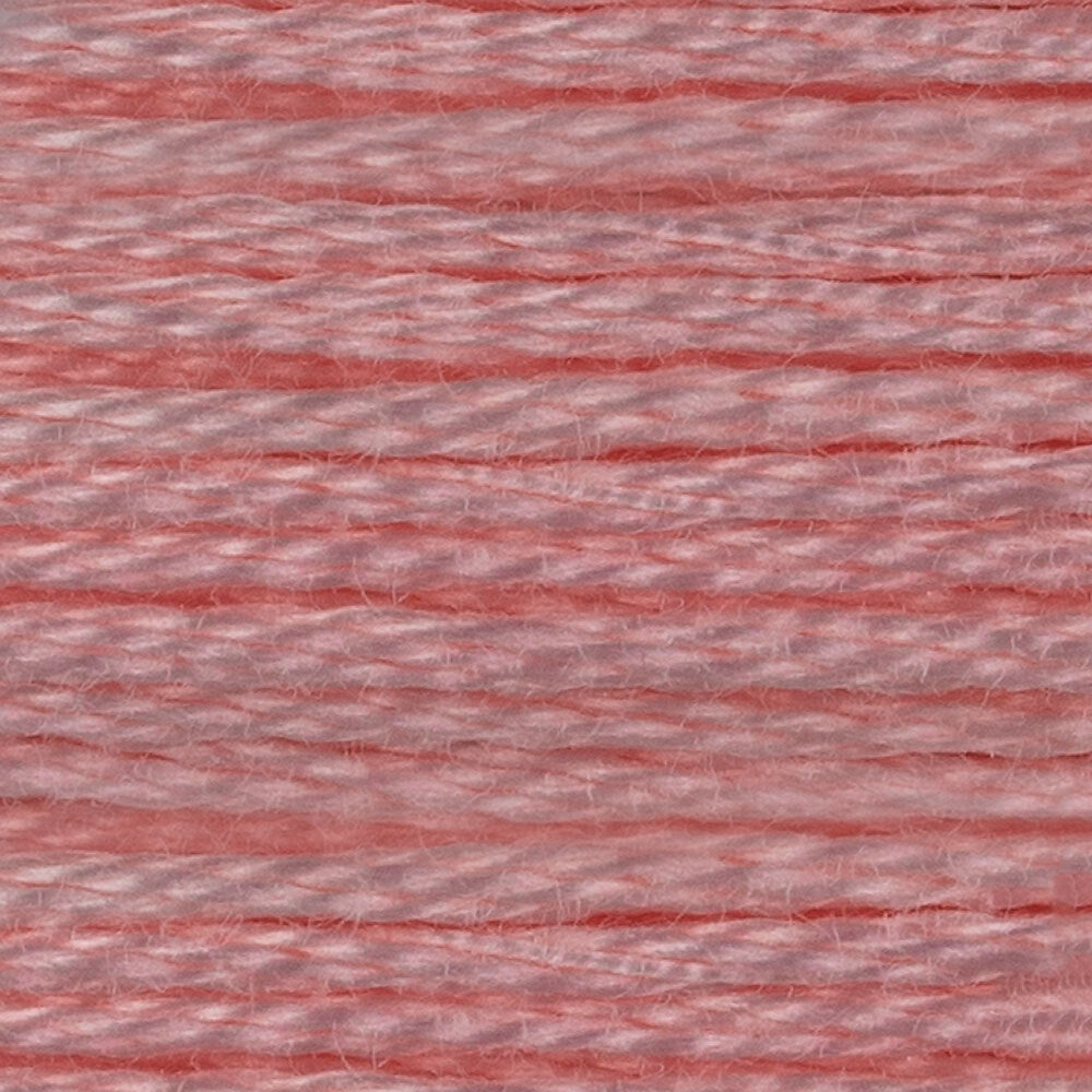 DMC Stranded Cotton - Warm Shades
