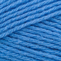 Aster (1003)