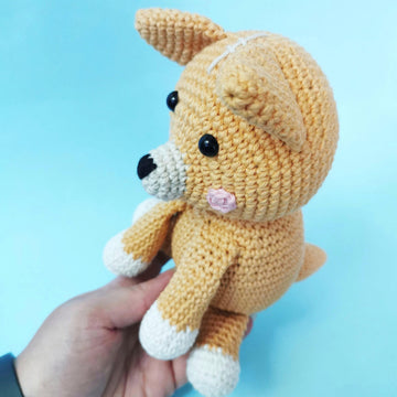 Ginger the Dingo
