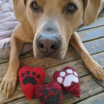 Paw Print Heart