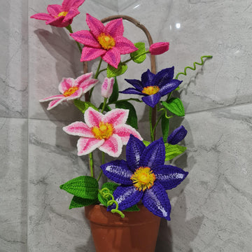 Crochet Clematis flowers