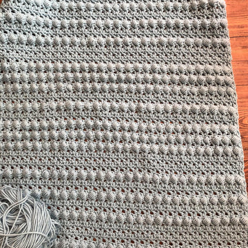 Berry Bliss Baby Blanket