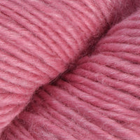 Carnation (58)