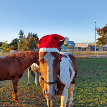 Horse Santa Hat