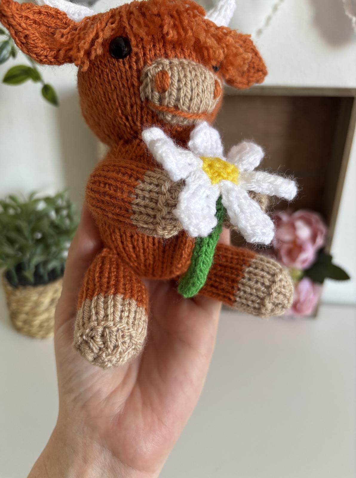 Daisy Highland Cow