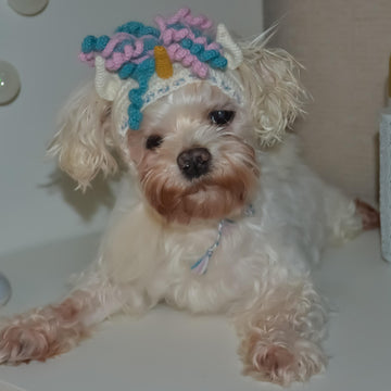 Unicorn dog hood, Crochet Pattern PDF, Size: XS for small dog