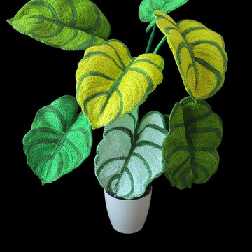 Crochet Dragon Scale Alocasia plant