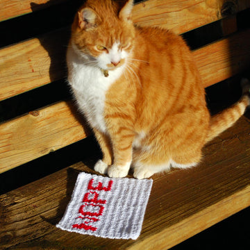 Nope Memo