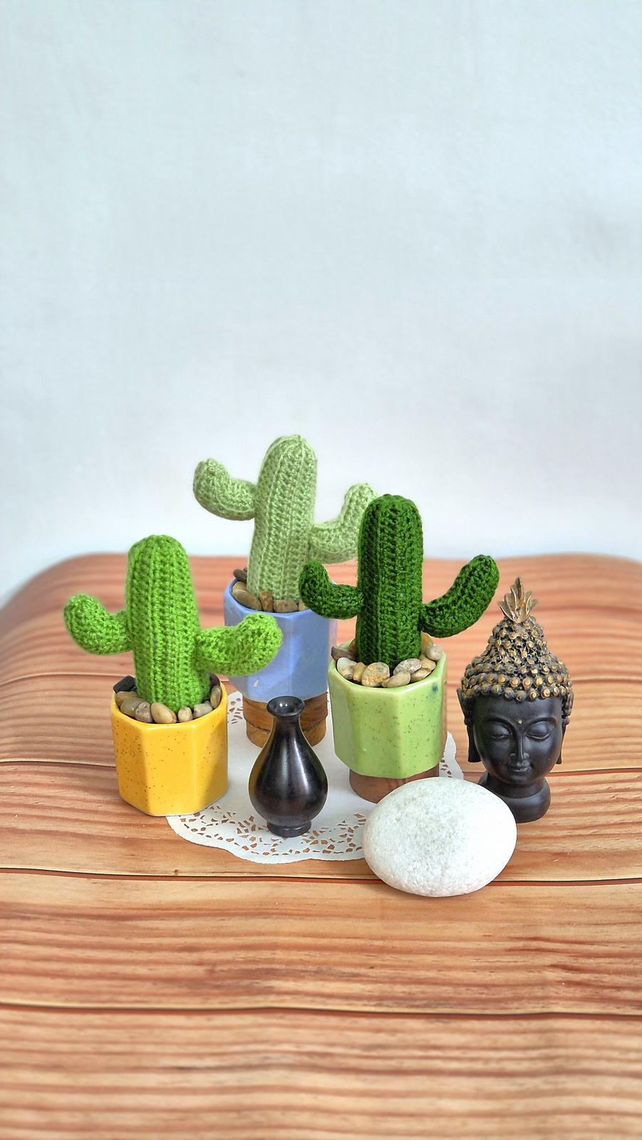 Desert cactus
