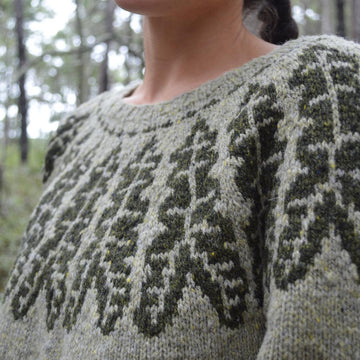 Alocasia Pullover
