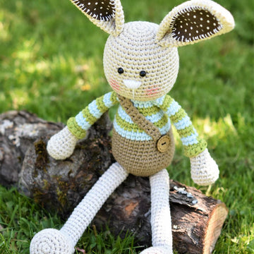 Long-ear Rabbit