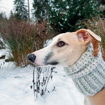 Doggo no 8 snood