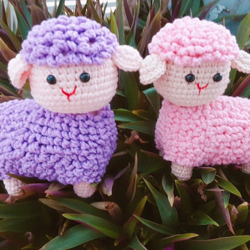 SHEEP -SENSO