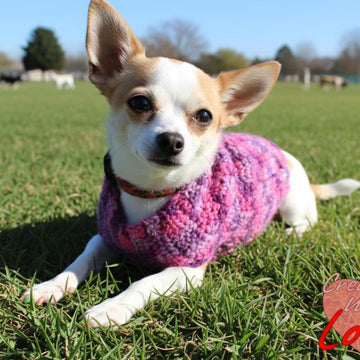 Willie's Dog Sweater