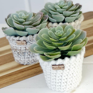The Pirouette Planter 055