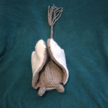 Stingray (Manta Ray)
