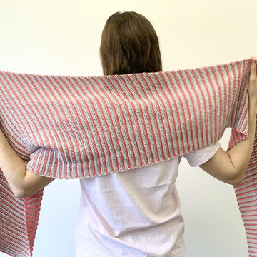 Seeing Stripes Shawl
