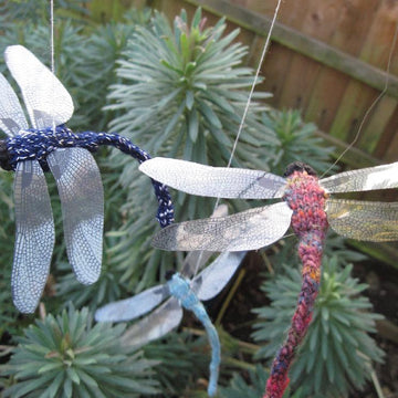 Dragonfly