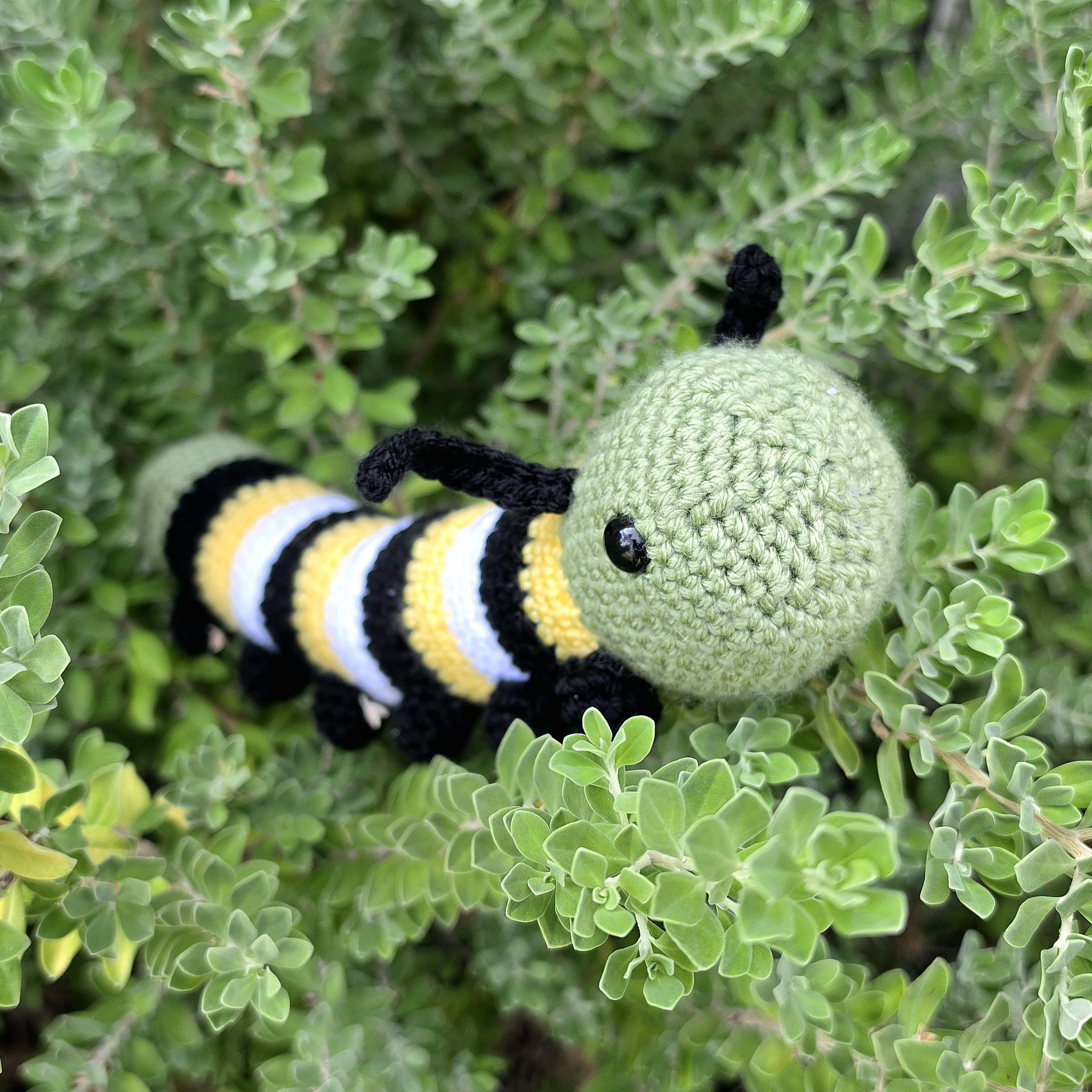 Wally the Wandering Caterpillar