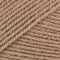 Camel (6)