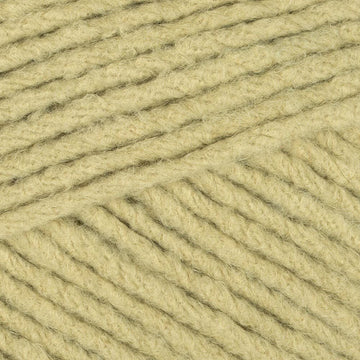 Matcha (61023)