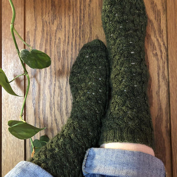 Philodendron Socks