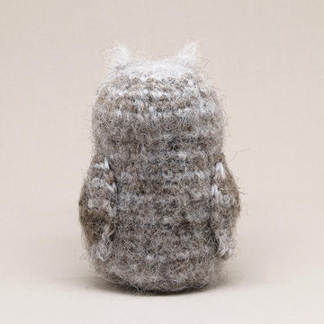Bubu the owlet