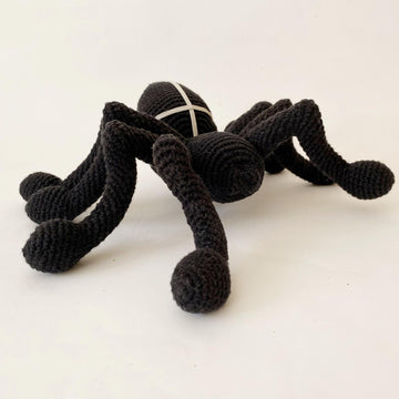 Spider Halloween