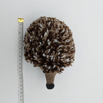 Hamish the hedgehog