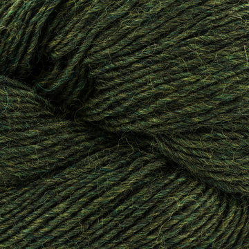 Wild Thyme (2306)