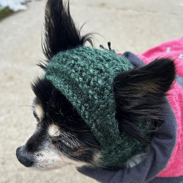 Techichi - The Chihuahua Hat