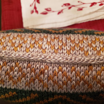 School Spirit pillow