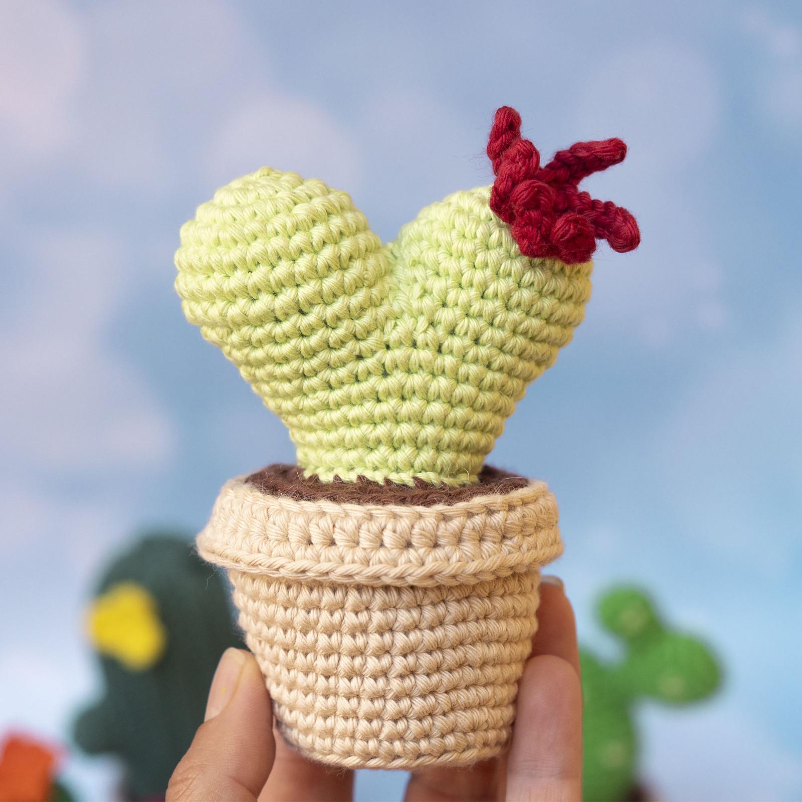 Cactus Bundle