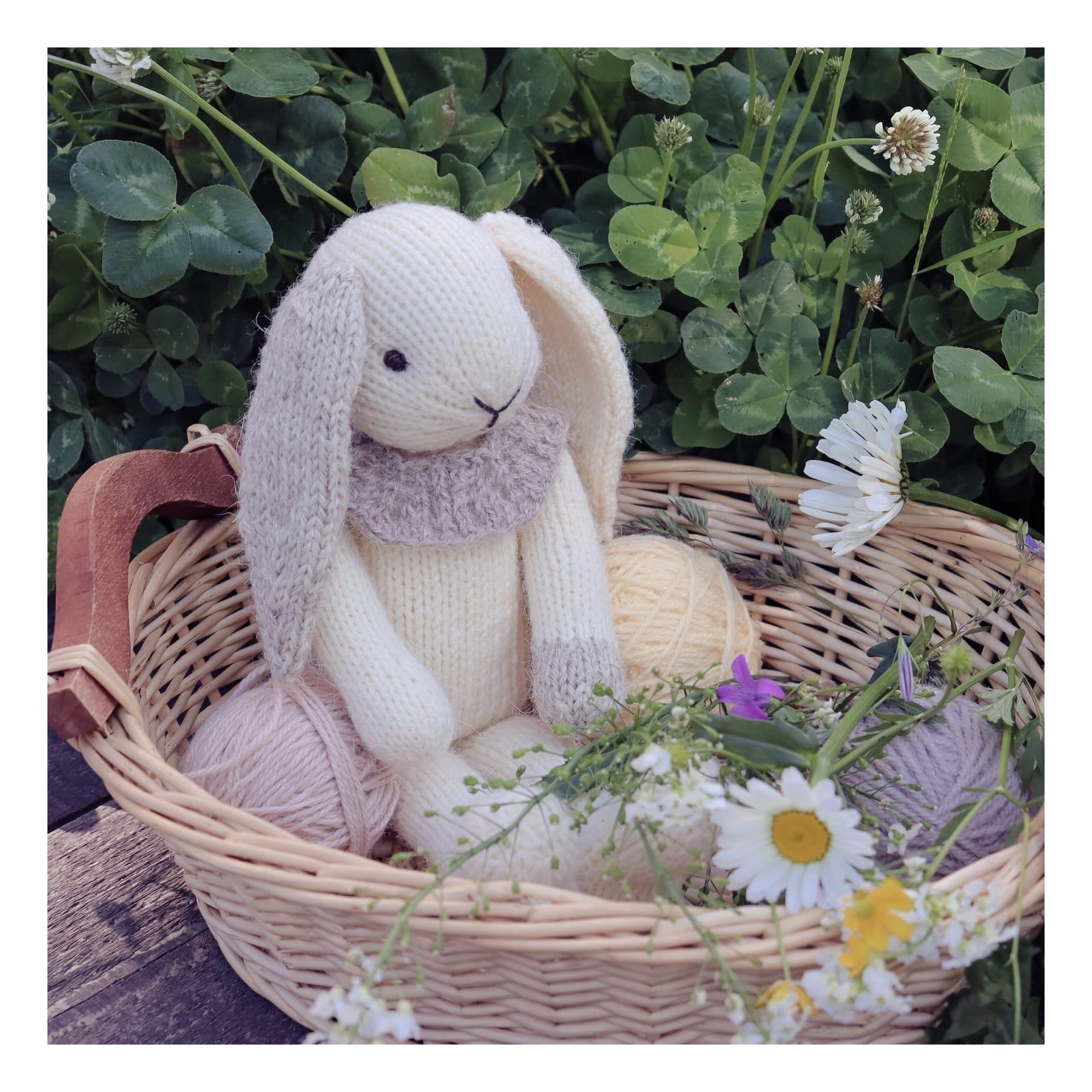 2 Little bunny: Bridget and Sebastian